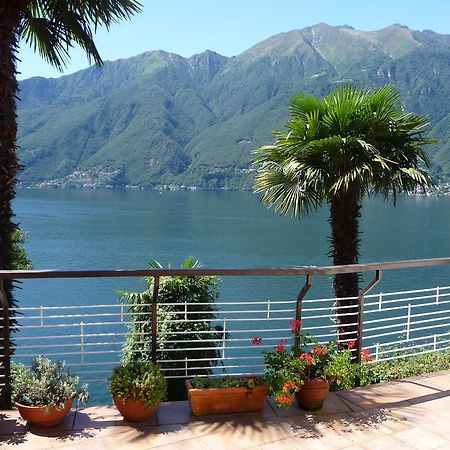 Apartamento Casa Roccia Pino Lago Maggiore Exterior foto